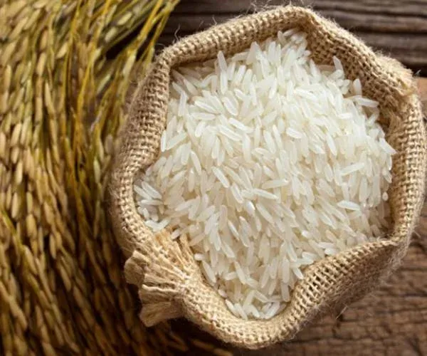 Premium Rice Varieties