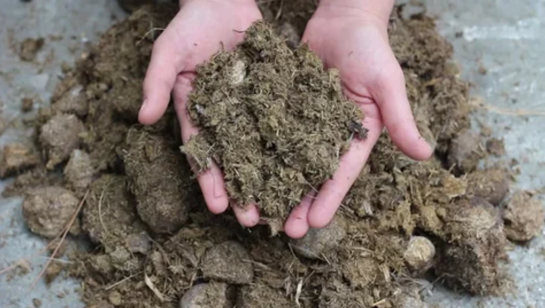 Animal Dung Fertilizer