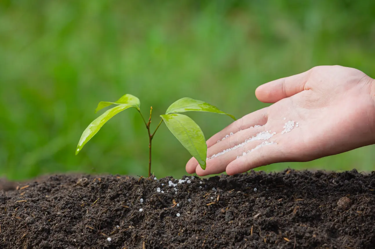 Fertilizers & Soil Nutrients